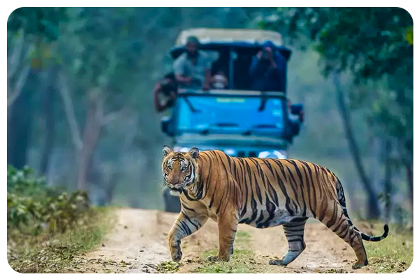 JLR Kabini Wildlife Resort 